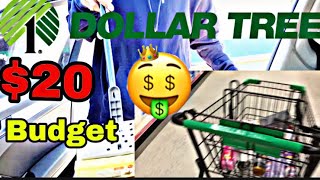 BROKE DOLLAR TREE STORE RUN I GOT SOME GOODIES ALL UNDER $20 BUDGET