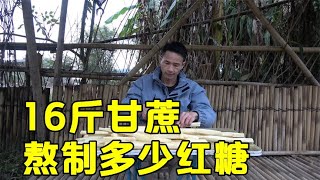 农村小伙砍甘蔗熬制红糖，忙活4个多小时，16斤甘蔗能出多少红糖【壮乡小莫】