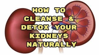 How to Cleanse & Detox Your Kidneys Naturally - Reversing Your Kidney Disease!