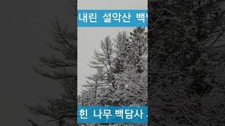 눈 내린 설악산 백담사 계곡 물소리.눈덮힌 돌탑.나무. 풍경입니다.계곡 얼음물 소리가 상쾌하게 해 주네요.