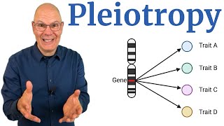 Pleiotropy