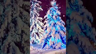 ★クリスマスツリー＆雪⑤🎄❄【雪が降る】【星がキラキラ】【動画】🎄❄by yuria