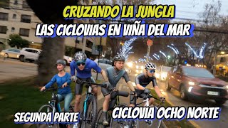 Cruzando por la jungla, ciclovía 8 norte, no llega a ningún lado.