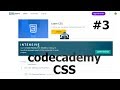 3 - Learn CSS: Changing The Box Model + Display and Positioning - Codecademy