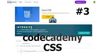 3 - Learn CSS: Changing The Box Model + Display and Positioning - Codecademy
