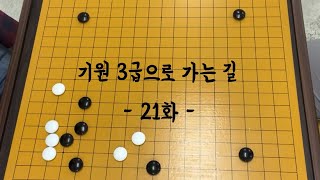 (바둑강좌) 기원 원장님께 배우는 3급으로 가는 길 / 21화 고목 한칸걸침, 날일자 씌움