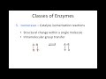 classes of enzymes