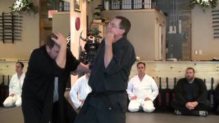 Low Punch Defense #9    The Dojo