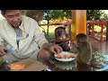 yoyo jr. takes yumy to pick papayas and helps feed yumy with his dad.