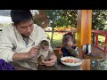 yoyo jr. takes yumy to pick papayas and helps feed yumy with his dad.