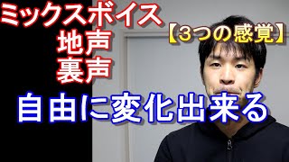 【ミックスボイス・地声・裏声】自由に変化出来る３つの感覚を習得！