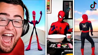 Reacting to REAL LIFE SPIDERMAN TikTok Videos!