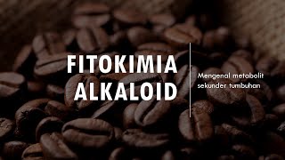 Golongan Senyawa ALKALOID Dalam Ekstrak - Mengenal Metabolit Sekunder Tumbuhan | Metode Fitokimia