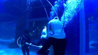 Jakarta Aquarium, Aqua Trekking 15 Juni 2018