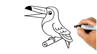 How to DRAW A TOUCAN BIRD Easy and Simple Drawing