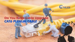 Cat6 Plenum Ethernet Cable | LAN Cable | Why Cat6 Plenum Copper | Newyork Cables