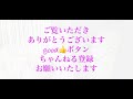 【チワワの子犬ゆき】ゆきは待ってました！63日目