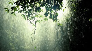 Relaxing Music \u0026 Rain Sounds l Piano Music Sleep  Beautiful Piano