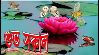 Good Morning/শুভ সকাল।