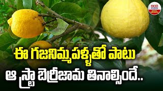 స్ట్రాబెర్రీ జామ తో అద్భుతాలు | Amazing Health Benefits Of eating Red Guava | ABN Digital Exclusives