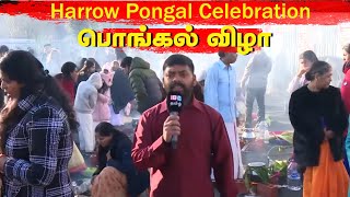 Harrow Pongal Celebration | 2nd Feb Europe Time | IBC TAMIL TV