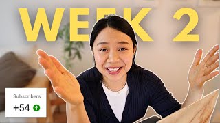 why It’s WORTH it to do YouTube (even with under 300 Subs) | Week 2 Update