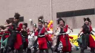 ＹＯＳＡＫＯＩかぬま '14 勢や - 竜葵－IZANAI－