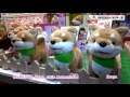 2016 International Tokyo Toy Show: Dakko-de-Pero, cute mameshiba | nippon.com