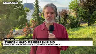 FRANCE 24's Jasper Mortimer reports from Ankara, Turkey on Erdogan's play to join EU • FRANCE 24