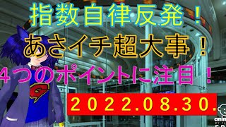 第73回 ガリクソン通信 2022/08/30