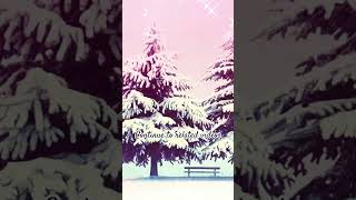 【Snowfall Symphony（降雪の交響曲）】【雪花の優しさ - Kindness of Snow Blossoms.1】