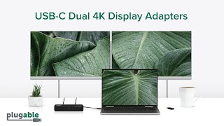 USB-C and USB 3.0 Dual 4K DisplayPort and HDMI Adapters