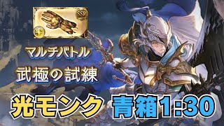 新マルチ「武極の試練」 光モンク周回編成 6~7T青箱 残業可【グラブル/ヴェネラブル・グリントナイト】