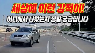 16779회. 고속도로 하이패스를 역주행으로 달려오는 차를 보신 적이 있습니까?