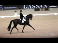 genius~ equestrian edit