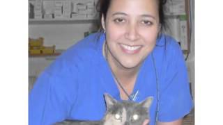 Companion Animal Hospital