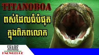 Titanoboa ជាពស់យក្សដែលធំជាងគេបំផុតនៅលើលោកនេះ