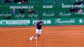 2017 Novak Djokovic play side view