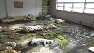 This is Not a Clock Factory - Mystery Abandoned Building