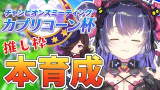 【ウマ娘 #カプリコーン杯】ハマれば先行・追込なんかに負けない！差しライスシャワー育成【くろいけもみみ/Vtuber】