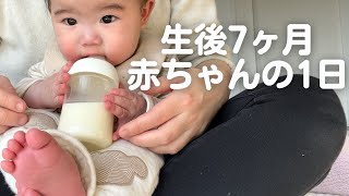 【生後7ヶ月】赤ちゃんの1日ってどんな感じ⁈ずりばい/ハイハイ/おすわり/絵本