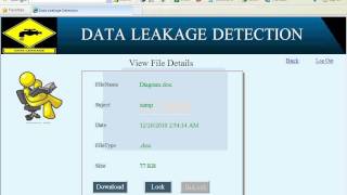 Data Leakage Detection