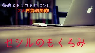 真木よう子主演!セシルのもくろみ【見逃したドラマも映画も無料で!】