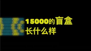 一万五的盲盒！我亏了吗？@哎呀老付【哎呀酋长本尊】