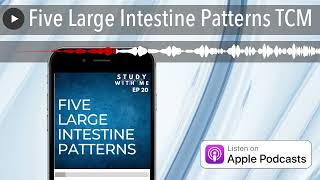 Five Large Intestine Patterns TCM