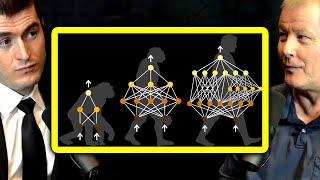 How neuroevolution works | Risto Miikkulainen and Lex Fridman