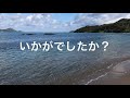 レモン！柿の挿し木！自給自足092。フルーツの楽園。