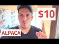 ALPACA PREDICTION $10| ALPACA CRYPTO|ALPACA COIN|Alpaca Finance Price (ALPACA)