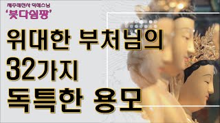 [BTN]붓다쉼팡8- 위대한 부처님의 32가지의 독특한 용모