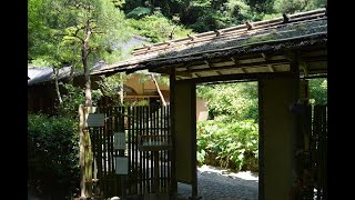 江ノ電の初夏＿稲村ケ崎～極楽寺駅